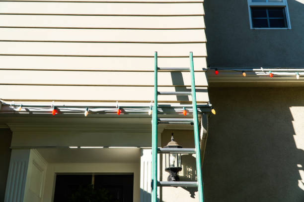 Best Fiber Cement Siding Installation  in Plum Grove, TX